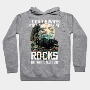 I Don't Always Stop and Look At Rocks Oh Wait, Yes I Do. Hoodie